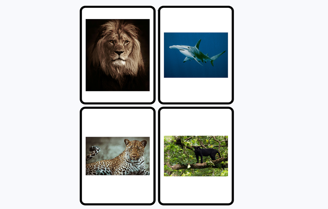 Random first slide